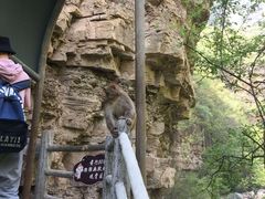 -云台山风景名胜区