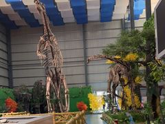 -诸城市恐龙博物馆