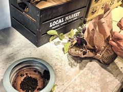 -自由生长植物工作室(深港花卉中心店)