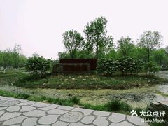 -东郊湿地公园
