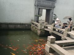 -金庸书院