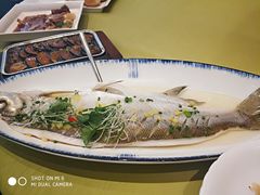 清蒸白鱼-香雪海饭店中餐厅(人民桥店)