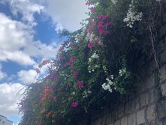 -澳门旅游塔360°旋转餐厅(南湾湖广场店)