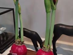 -精德口腔·种植修复·儿牙中心(财富中心店)