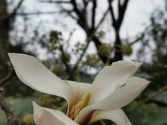 -黄兴公园
