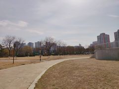 -太阳宫公园