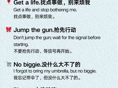 -菠萝国际教育留学·AL·IG·IB·AP·雅思托福(静安校区)