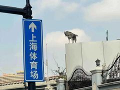 -上海体育场