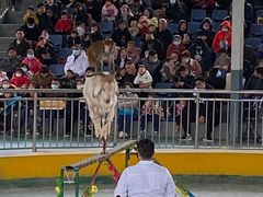 -泉州海丝野生动物世界