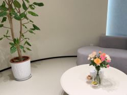 -美丽妈妈产后恢复中心(三林店)