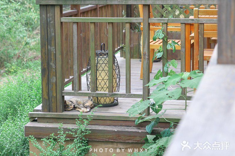 长兴开元芳草地乡村酒店| 杭州周边的世外桃源