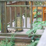 长兴开元芳草地乡村酒店| 杭州周边的世外桃源