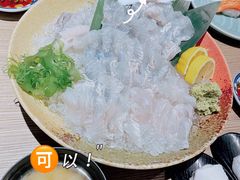 左口鱼活鱼刺身-小山日本料理(太古汇店)