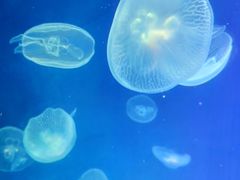 -石林冰雪海洋世界