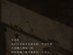-竞思注意力·专注力·学习能力训练(广开中心)