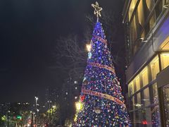 -杭州龙禧福朋喜来登酒店