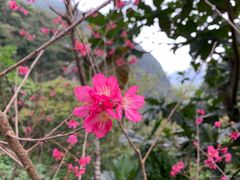 -太鲁阁公园