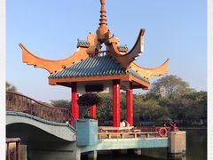 -金砂公园