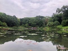 -云溪植物园
