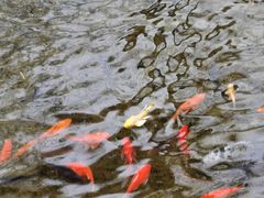 -水磨沟公园