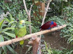 -南宫五洲植物乐园