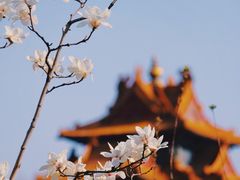 -明皇城东安门遗址