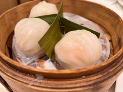 招牌虾饺妹-虾饺妹·酒家(金碧店)