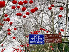 -小绍兴家宴·百年绍兴菜(鲁迅路店)