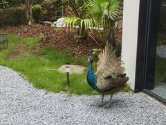 -J Create城市露营咖啡·简餐·宠物(上海动物园店)