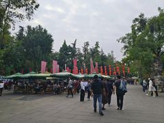 -牛市口盲人按摩(舒康分院)