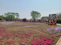 -石家庄市植物园