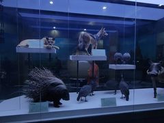 -国家自然博物馆