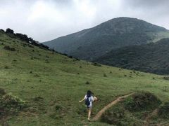 -大姆山草场