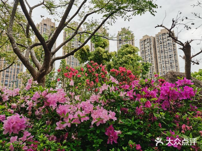 琴亭湖公园图片