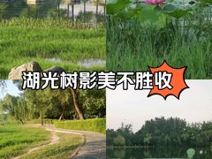 -合肥生态公园