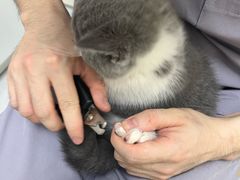 -达爱动物医院·犬猫分区·CT·复杂眼科(远洋山水分院)