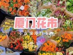 -溪岸路花鸟市场