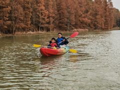 -上海海湾国家森林公园