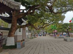 -江心屿景区