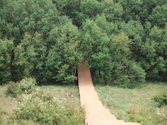 -白草畔自然风景区