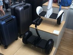 平衡车-小米之家(东方宝泰购物中心店)