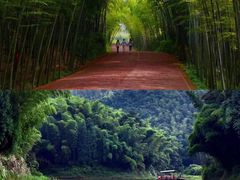 -蜀南竹海景区