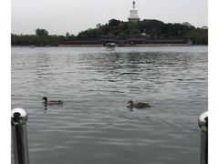 -VOYAGE COFFEE(北锣鼓巷店)