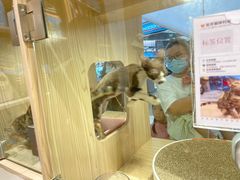 -屋虎猫馆(宝安大仟里店)