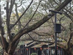 -黄龙溪古镇