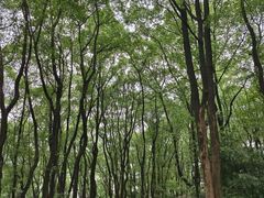 -道教老君洞