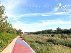 -石榴庄公园