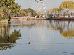 -无锡蠡湖国家湿地公园-蠡园