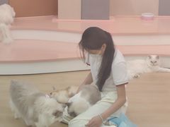 -1013 PET SHOP 宠物商店(近铁城市广场店)