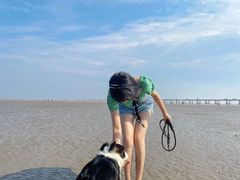 -南汇嘴观海公园